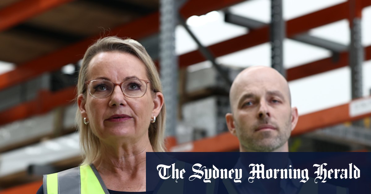 Sussan Ley to shut the door on key environment deal with Albanese