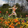 Melbourne in bloom: Where to see spring flowers in the city