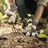 Exposed soil gets hotter and it dries out more quickly.