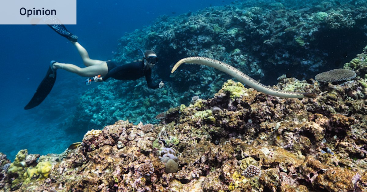 My journey to a reef on the abyss (if gas drillers get their way), by Tim Winton
