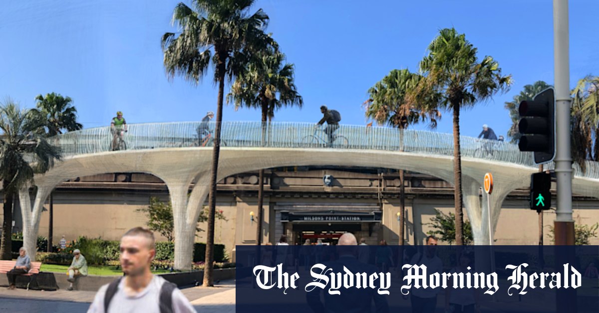 'Bullied and railroaded': Mayor wants volunteer action against Harbour Bridge cycleway - Vimarsana News