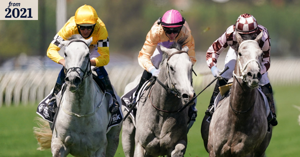 Race-by-race preview and tips for Hawkesbury on Thursday