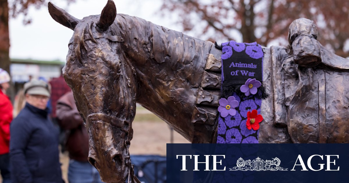 World War I hero Sandy the War Horse statue unveiled in his hometown Tallangatta - Vimarsana News