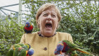 For the birds: Merkel’s political positions were fluid as she adapted them to her needs – the list of her flip-flops is endless.