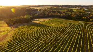 Grape Expectations Big Name Wa Wineries Lose Fight To Split From Margaret River