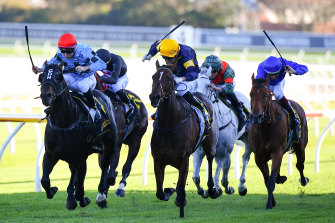 sky racing horses