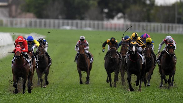 Big money: Redzel, left, wins The Everest for the second time in October.