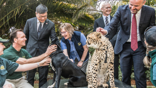 On Monday, a memorandum of understanding was signed between the National Zoo & Aquarium, Wellington Zoo and Singapore Wildlife Reserves signing in Canberra. 