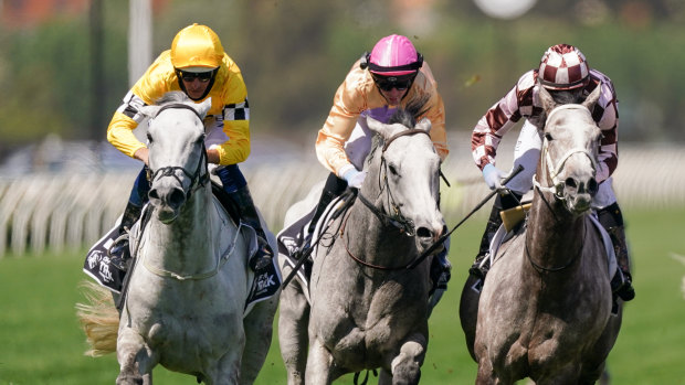 Berdibek (far left) will lump 66kg at Rosehill on Saturday before the Grafton Cup.