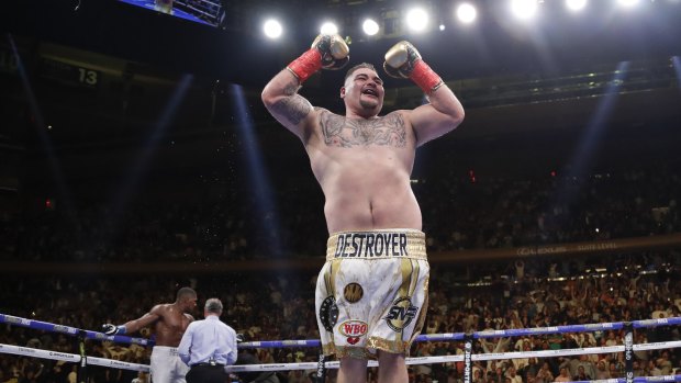 Shocker: Andy Ruiz has stunned the boxing world with his win.