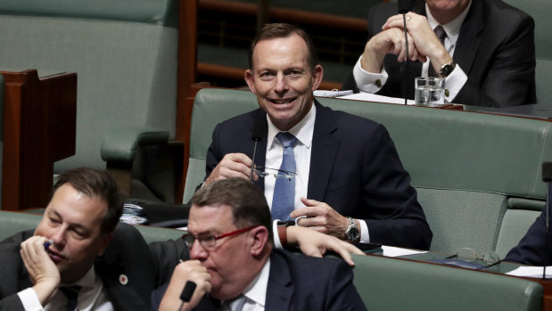 Former prime minister Tony Abbott in question time on Tuesday.