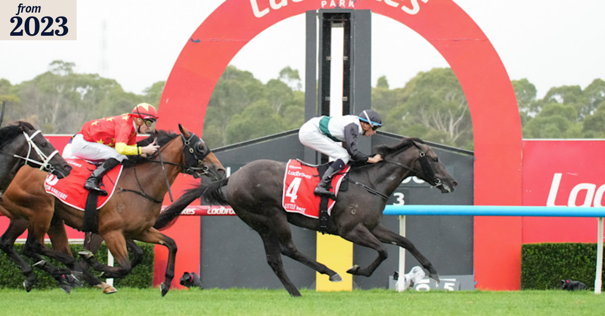 Racing: Stats don’t lie: Hayes brothers take family back to top of two ...