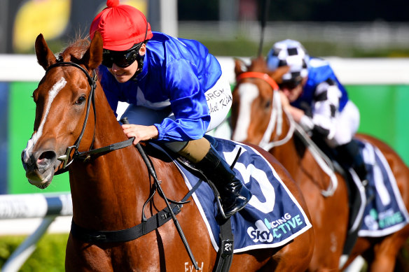 Fituese is ready to step up in the Denise's Joy Stakes at Rosehill on Saturday.