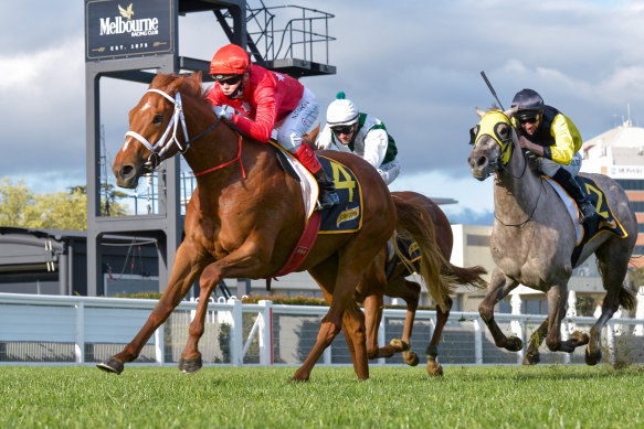Craig Williams steers Instant Celebrity to victory in the Thousand Guineas Prelude at Caulfield on Saturday.
