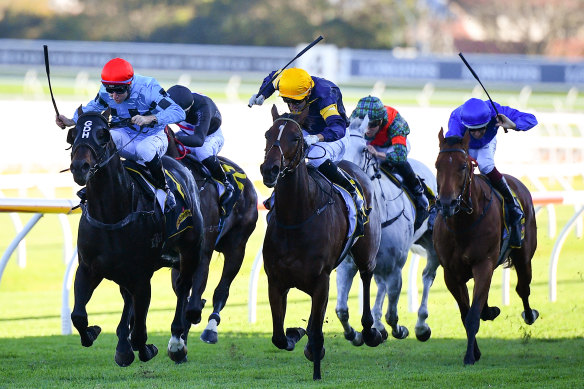 Racing coverage has recorded big spikes in viewership as options for live sport remain restricted to horse racing. 