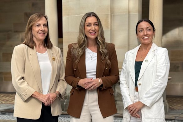 Sister of murdered Brisbane mother Allison Baden-Clay, Vanessa Fowler; Minister Laura Gerber; and sister of murdered Gold Coast mother Danielle Carroll.
