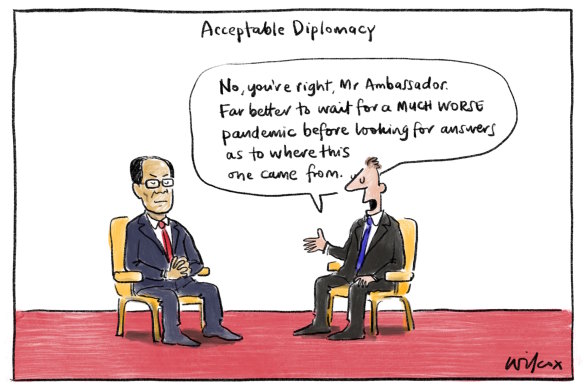 Illustration: Cathy Wilcox