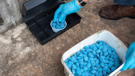 Experts warn of “excessive bleeding” for victims of rat poison.