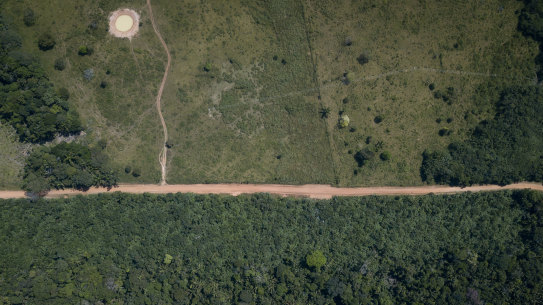 A study has found the Amazon rainforest is losing its ability to recover from shocks.