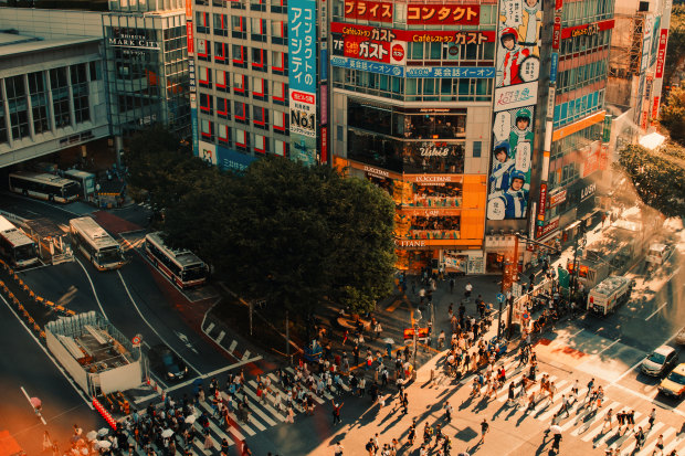 A Japan highlights tour will take in geography, botany … and Tokyo’s Shibuya Crossing.
