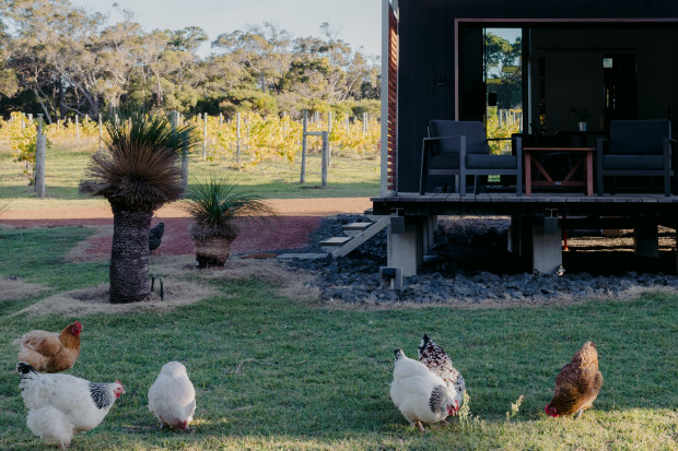Barn Hives in Yallingup is an ideal base for exploring the Margaret River region’s food and wine scene.