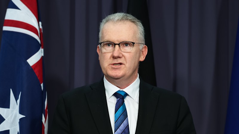 Burke plans migration cuts to hit budget targets