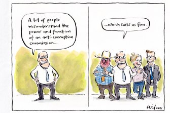 Illustration: Cathy Wilcox