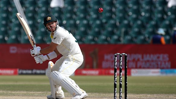 Warner goes about his business on day four. 