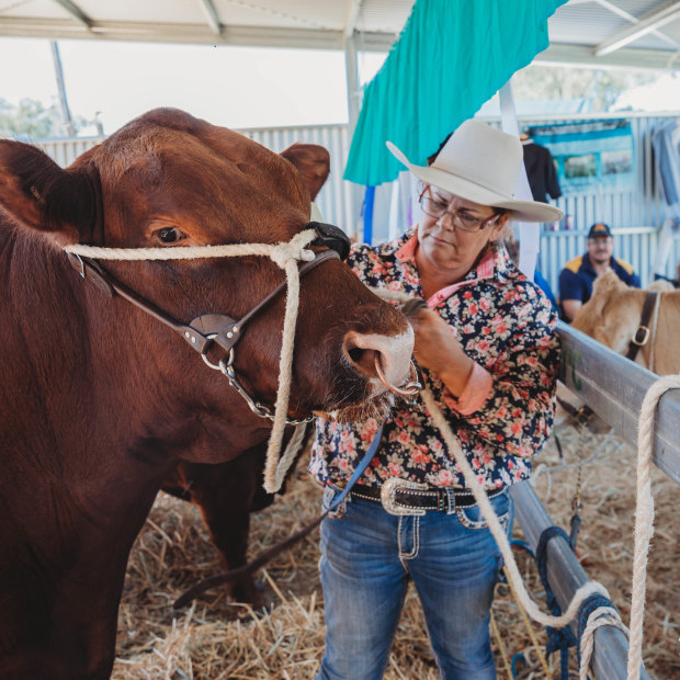 Cattle farmer Kirrily Johnson-Iseppi with her prize bull at the Oakey Show near Toowomba on Saturday. She says it’s “really disappointing” to miss out on the Royal Easter Show.