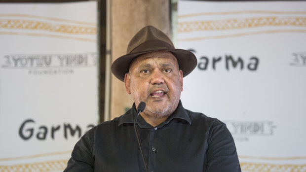Cape York leader Noel Pearson has joined a panel to guide the creation and design of an Indigenous "voice" to government.