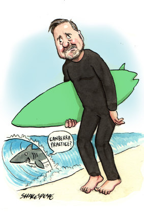 Surf’s up for Whish-Wilson.