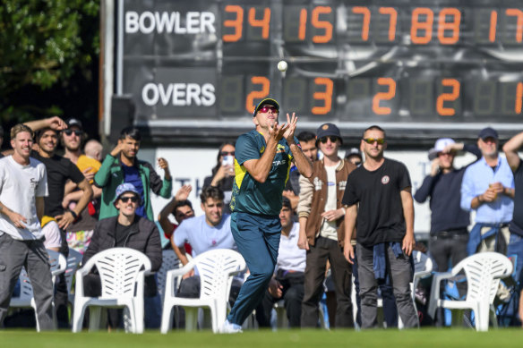 Xavier Bartlett of Australia makes a catch by the boundary.