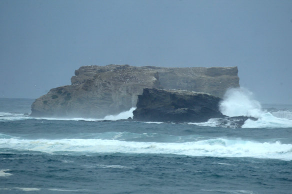 Surf at Lawrence Rocks, off Portland in western Victoria.