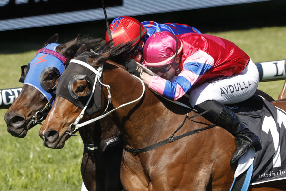 Badoosh is hard to catch but  gets critical factors in his favour at Canterbury on Thursday.