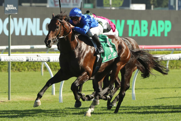 Anamoe charges away from rivals in the Apollo Stakes at Randwick two weeks ago. 