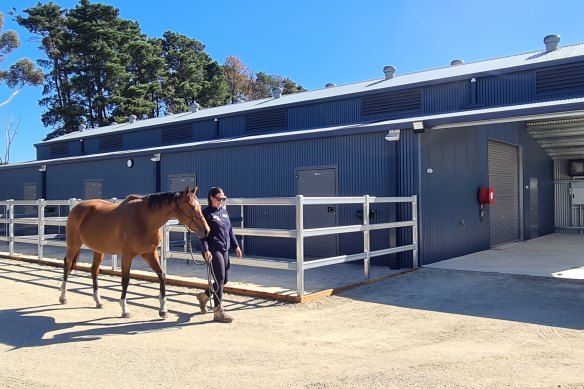 Horse stables at the Mornington Peninsula RSPCA facility.