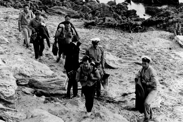 Skin divers join the search at Cheviot Beach.