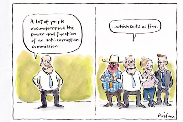 Illustration: Cathy Wilcox