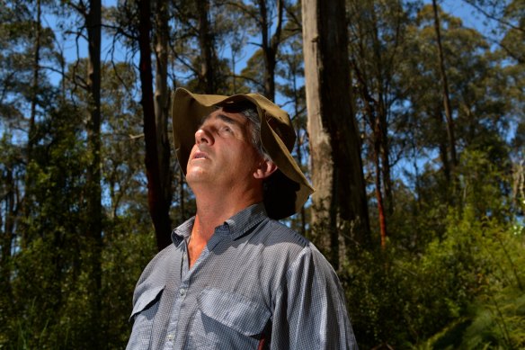 Ecologist David Lindenmayer says it’s harmful to send machinery into forests damaged by storms.