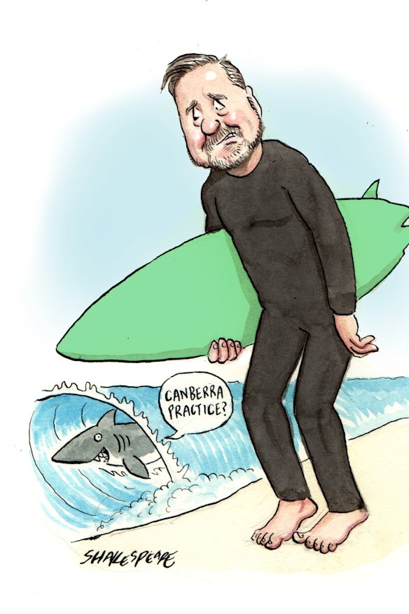 Surf’s up for Wish-Wilson.