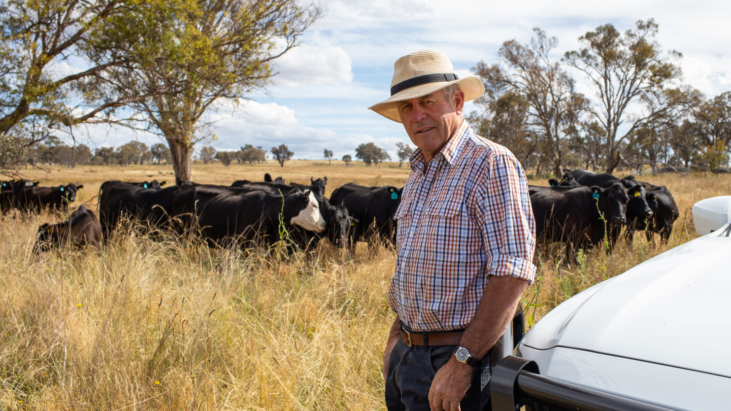 This northern NSW beef farmer has turned climate change to his