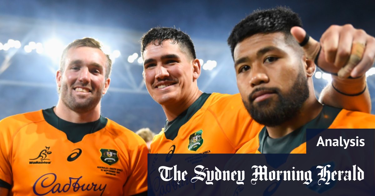 Two years out from the World Cup, Wallabies fans can dare to dream