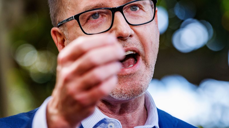 Shoebridge’s Greens: A Red-Hot Challenge to Labor, With Party Fault Lines — image 2