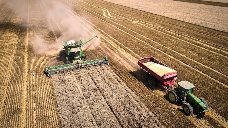 Energy crisis prompts Wheat farmers to slash crops this year