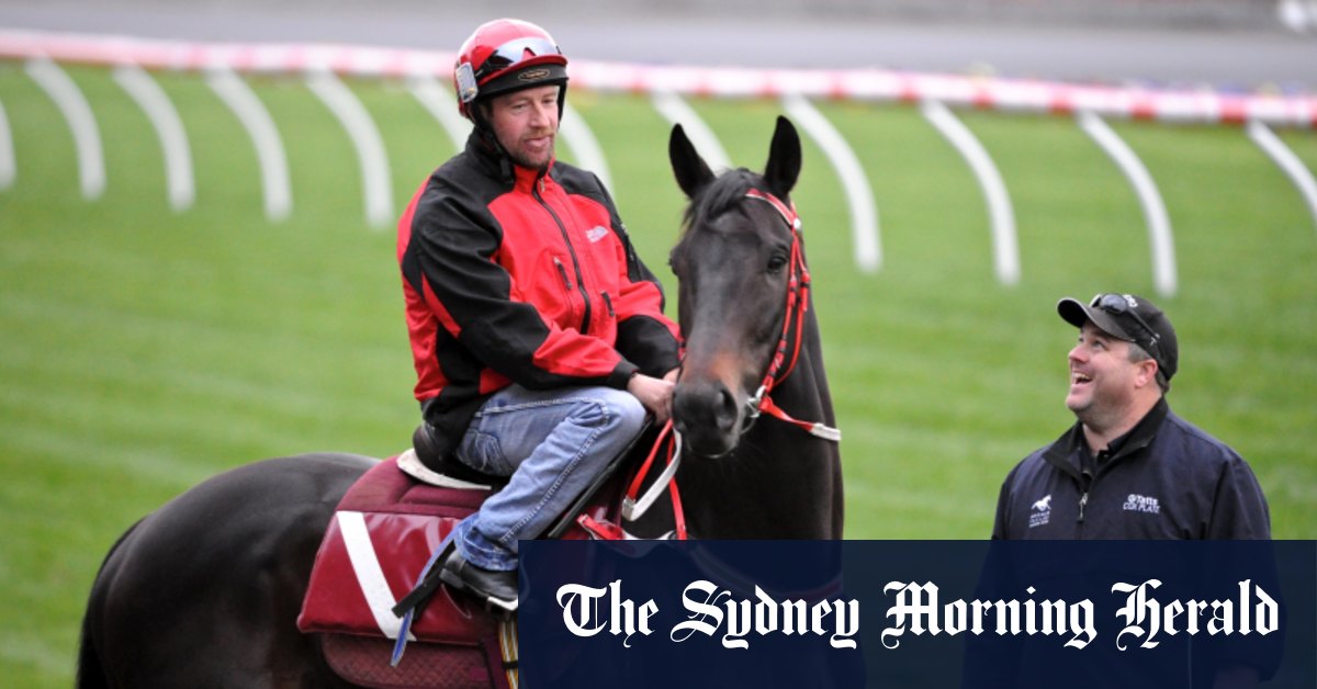 Sincero best wishes for Farley with latest stable hopefuls