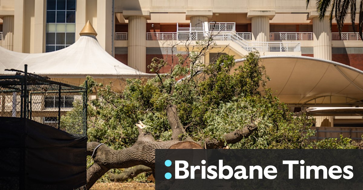 Caulfield Racecourse redevelopment stalled after 42 trees lopped - Vimarsana News