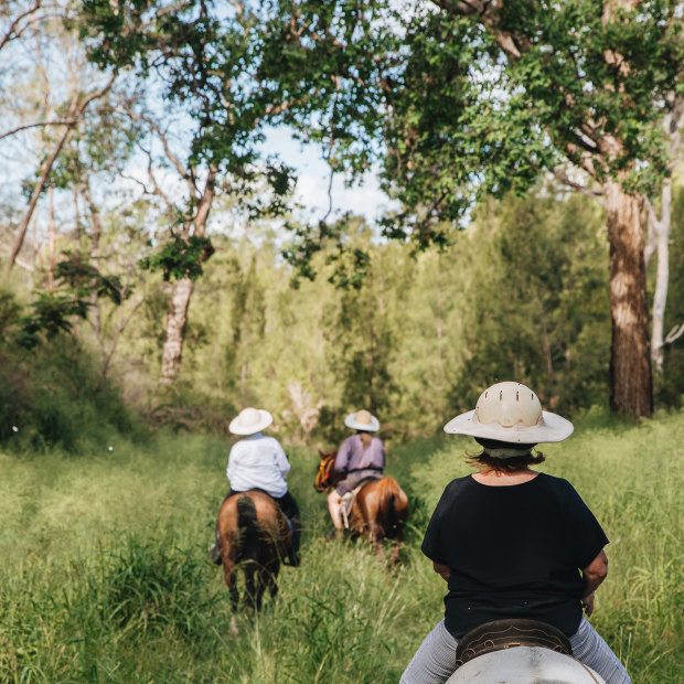 Sue Renfree's business, Fordsdale Horseback Adventures offers one-hour, two-hour, all-day and overnight horse-riding experiences at the homestead.