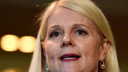 Federal Industry Minister Karen Andrews urged insurers to be part of the solution in the building industry crisis.