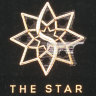 Regulator extends Star special manager ahead of NSW licence decision