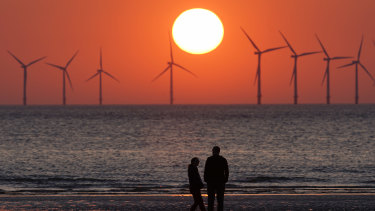 Renewables are set for another five years of record growth, the International Energy Agency says. 